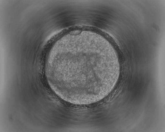 X0000112410919200909110947