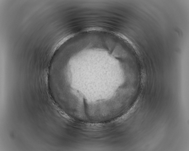 X0000112410921200909110947