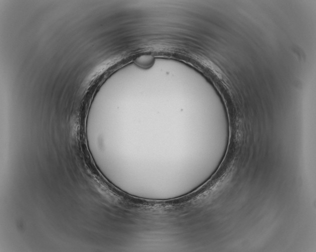 X0000112410922200909110947