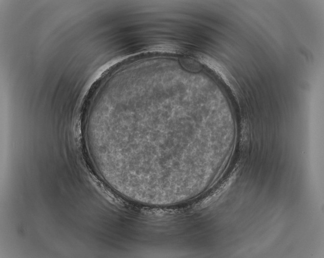 X0000112410923200909110947