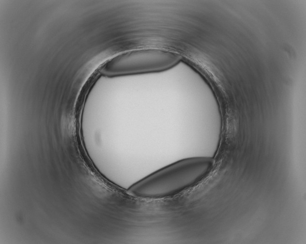 X0000112410924200909110947