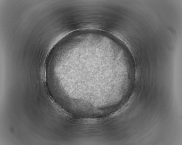 X0000112410925200909110947