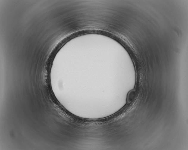 X0000112410926200909110947