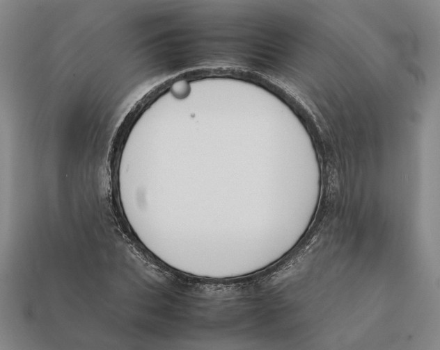 X0000112410927200909110947