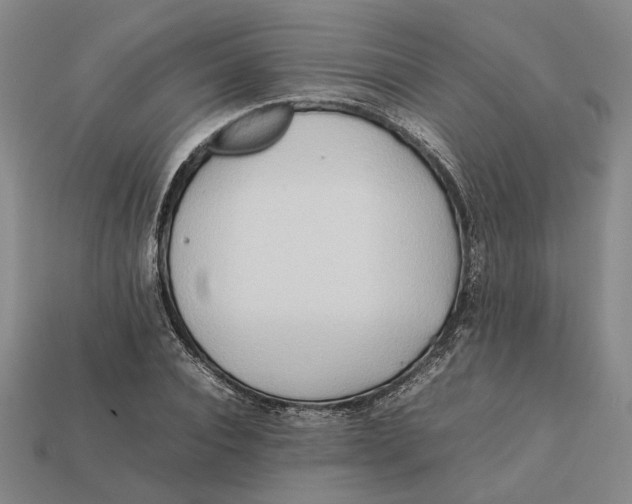 X0000112410928200909110947