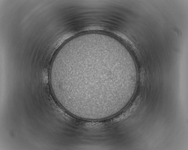 X0000112410929200909110947