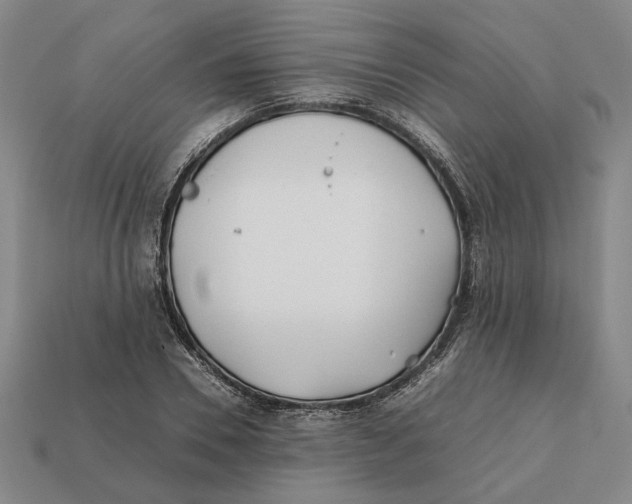 X0000112410930200909110947