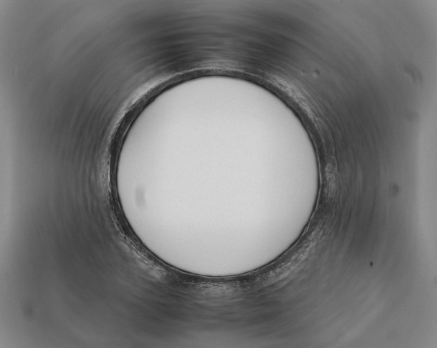 X0000112410931200909110947