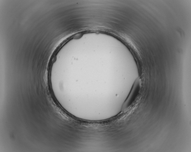 X0000112410932200909110947