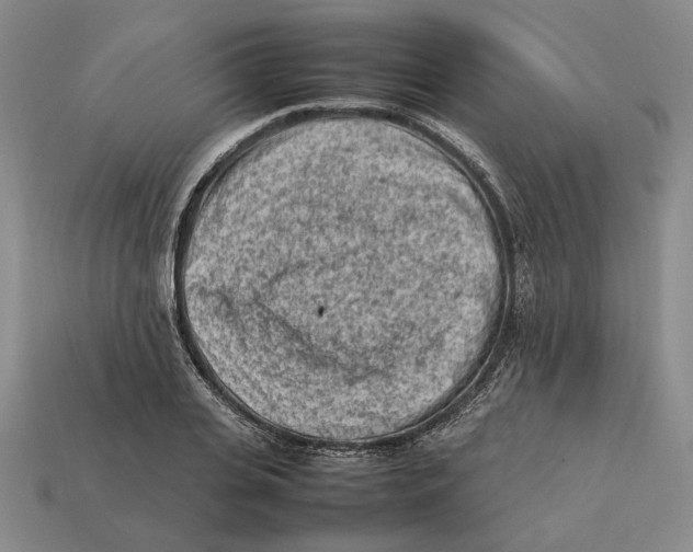 X0000112410935200909110947