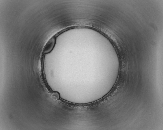 X0000112410936200909110947