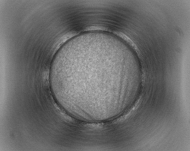 X0000112410937200909110947