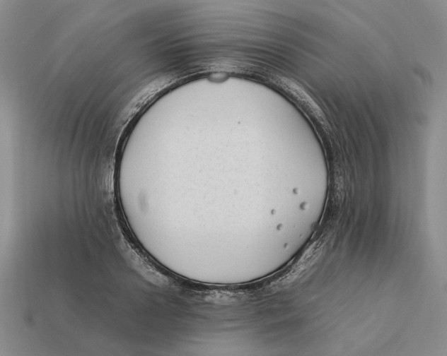 X0000112410938200909110947