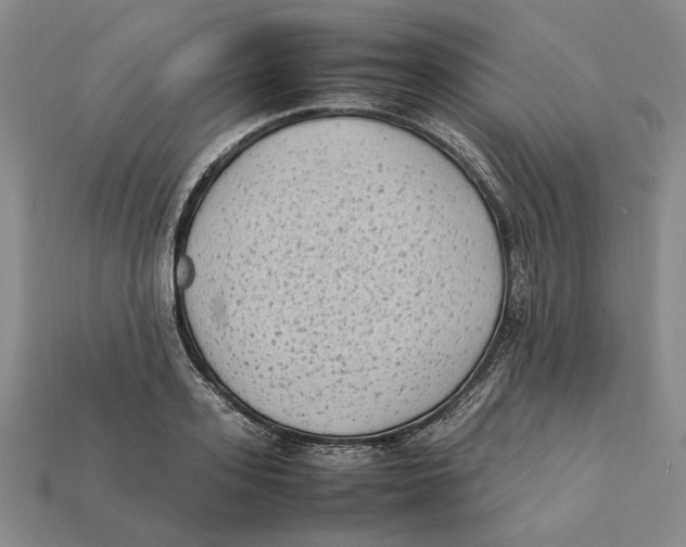 X0000112410939200909110947