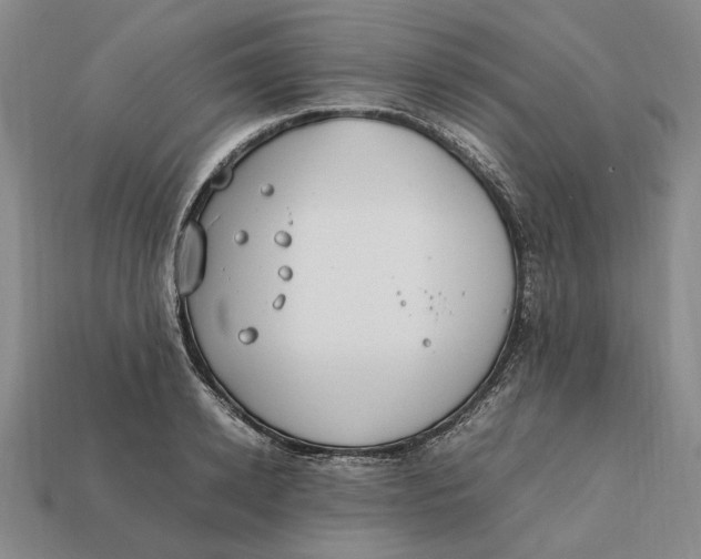 X0000112410942200909110947