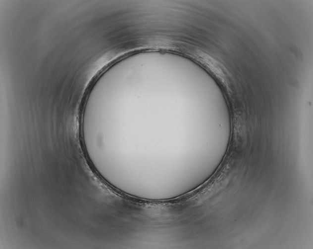 X0000112410944200909110947