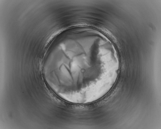 X0000112410945200909110947