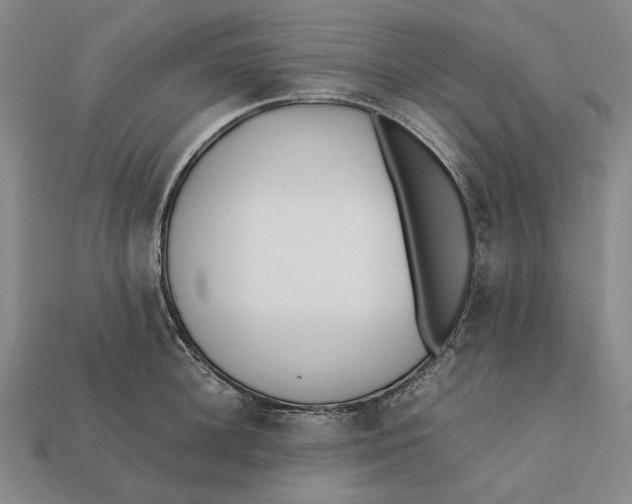 X0000112410948200909110947