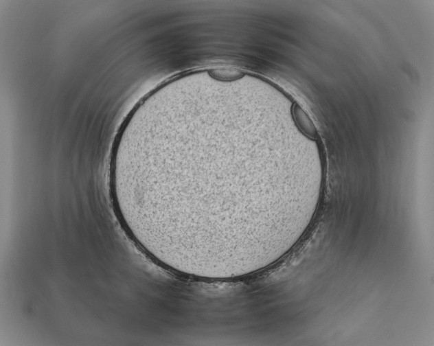 X0000112410949200909110947