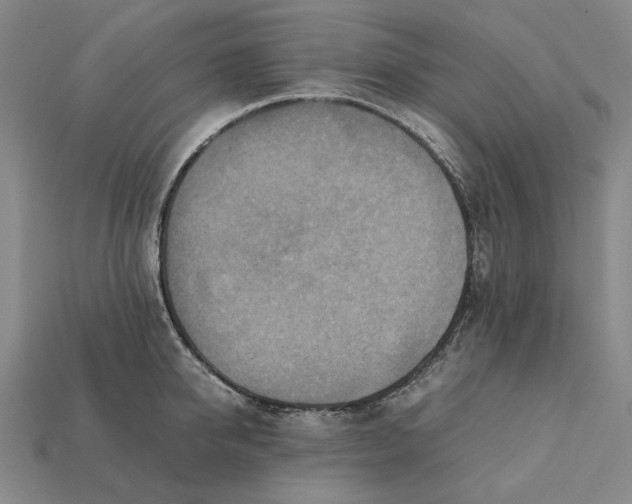 X0000112410950200909110947