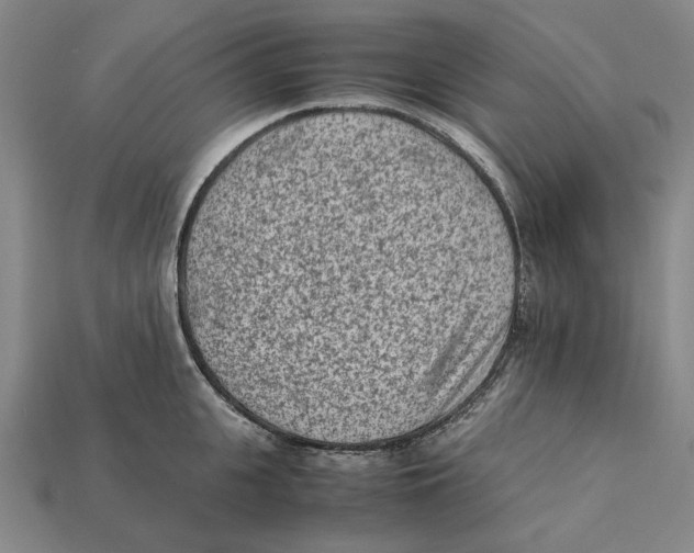 X0000112410951200909110947