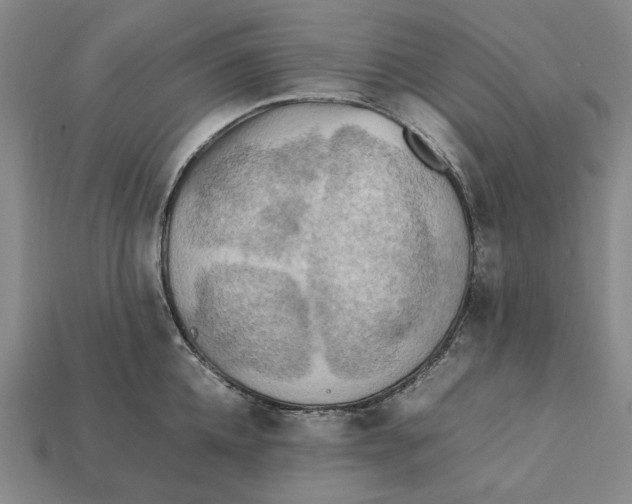 X0000112410952200909110947
