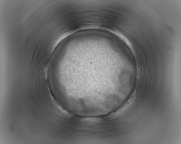 X0000112410953200909110947