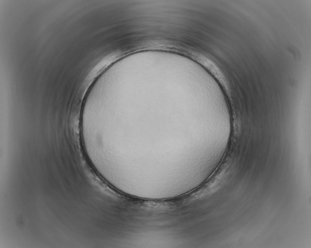 X0000112410954200909110947