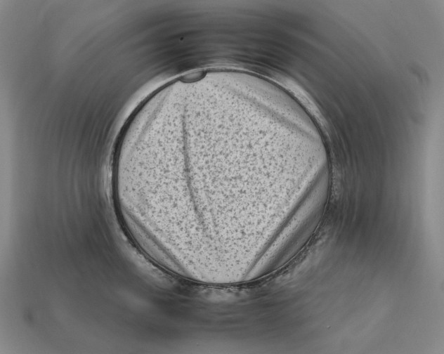 X0000112410955200909110947
