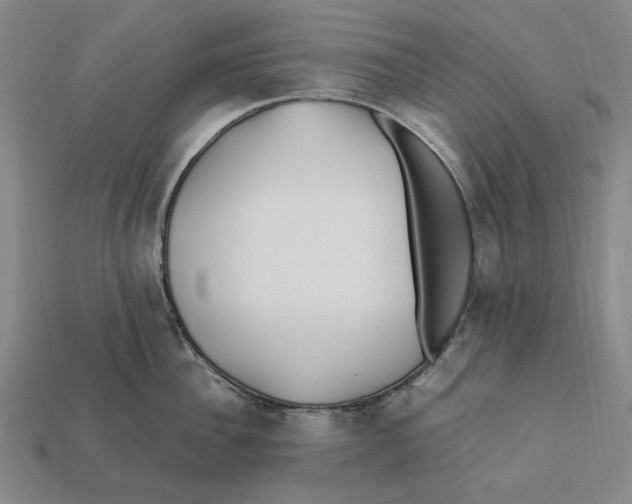 X0000112410956200909110947