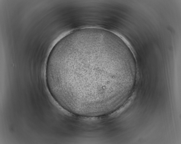X0000112410957200909110947