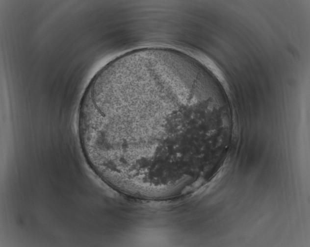 X0000112410958200909110947