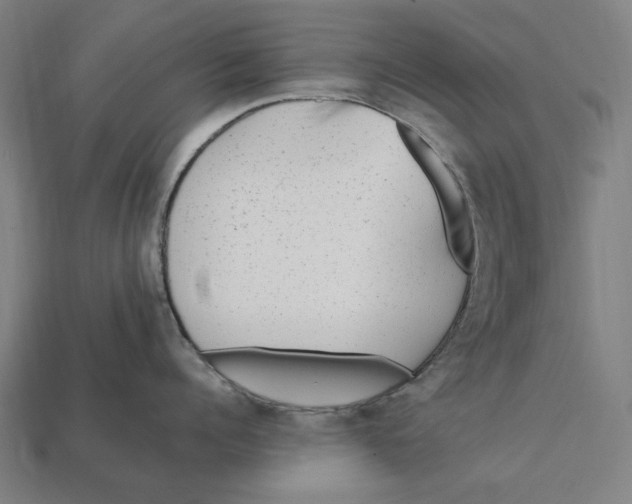 X0000112410960200909110947