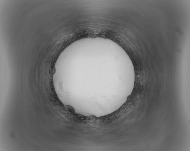 X0000112410961200909110946