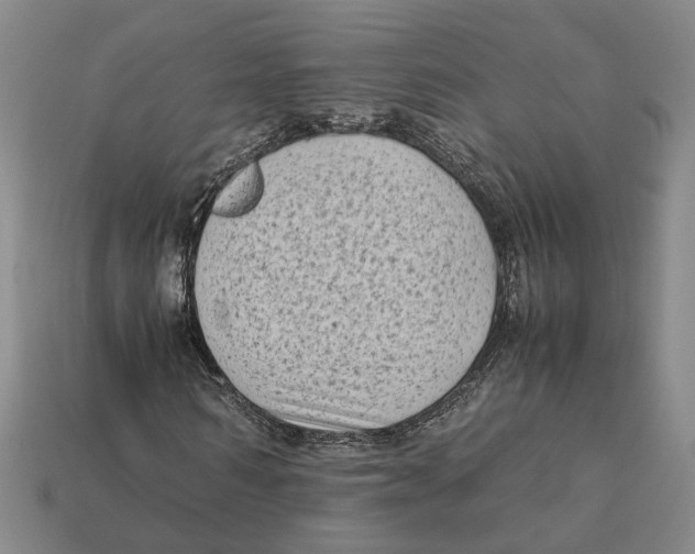 X0000112410962200909110946