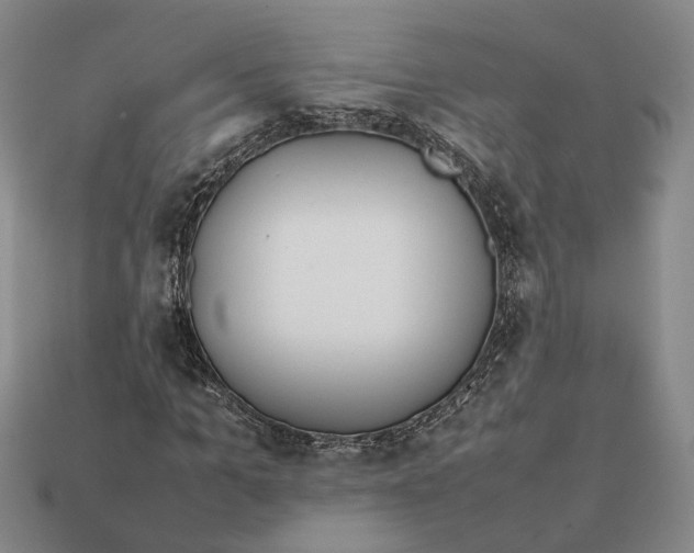 X0000112410965200909110946