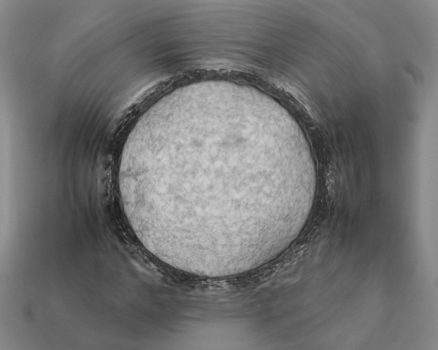 X0000112410968200909110946