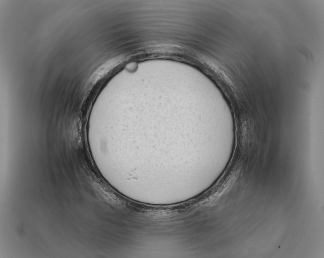 X0000112410970200909110946