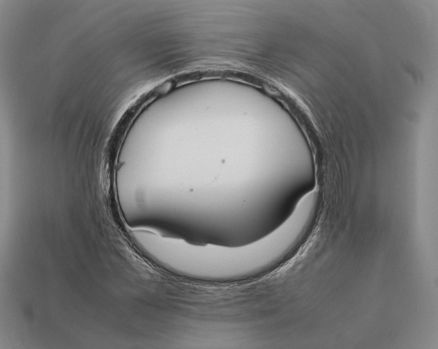 X0000112410973200909110946