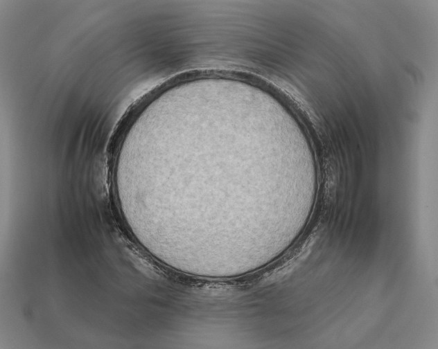 X0000112410974200909110946