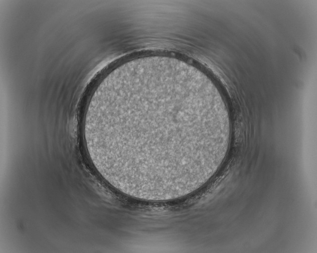 X0000112410975200909110946