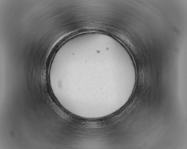 X0000112410976200909110946