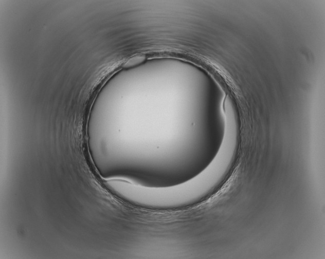 X0000112410977200909110946