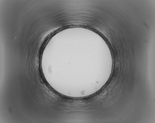 X0000112410979200909110946