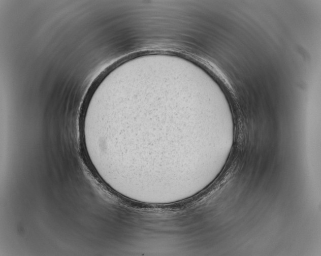 X0000112410980200909110946
