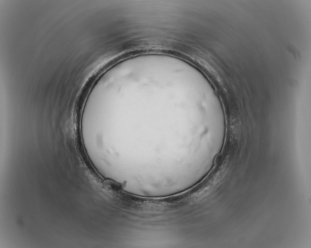 X0000112410981200909110946