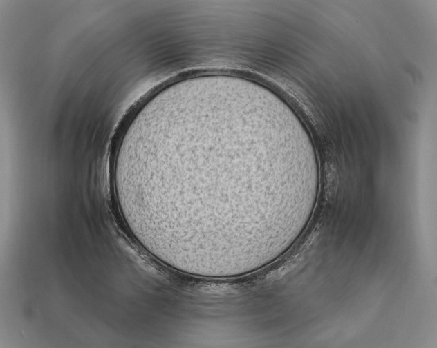 X0000112410982200909110946