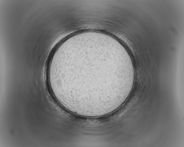 X0000112410983200909110946