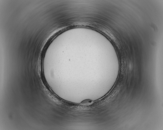 X0000112410984200909110946