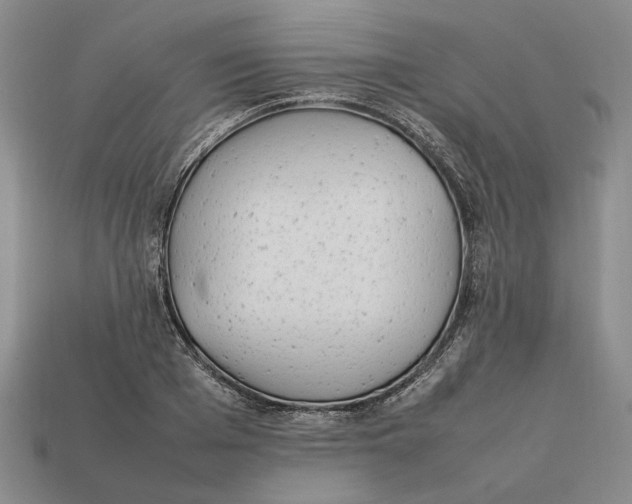 X0000112410985200909110946